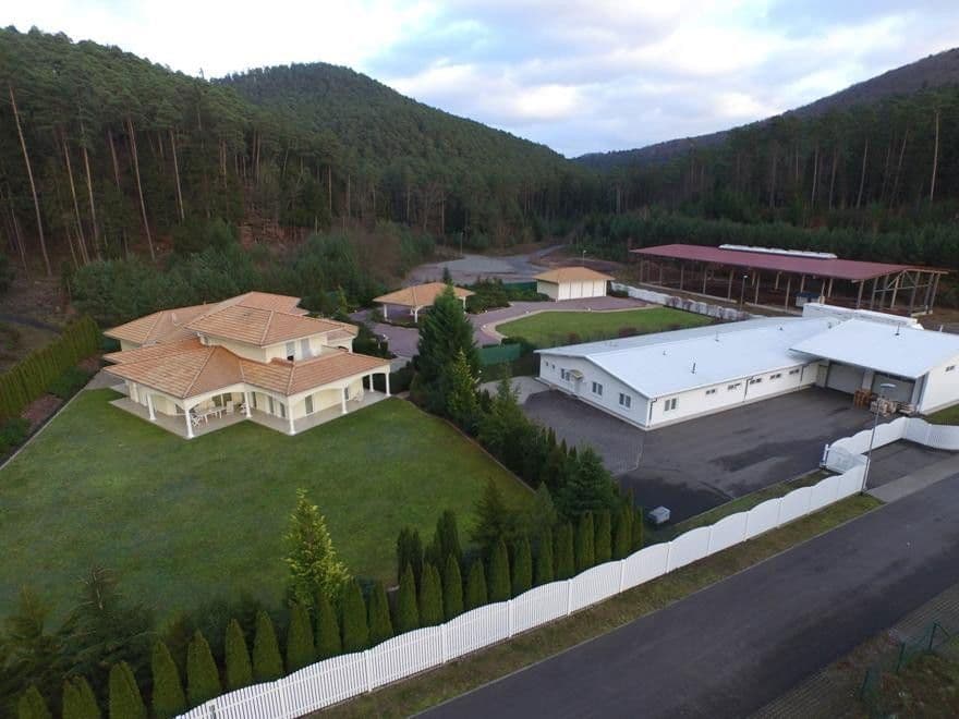 non-residential property for sale, 6,650 m², Gewerbepark Neudahn 1, Dahn, Rhineland-Palatinate non-residential property for sale, 6,650 m², Gewerbepark Neudahn 1, Dahn, Rhineland-Palatinate