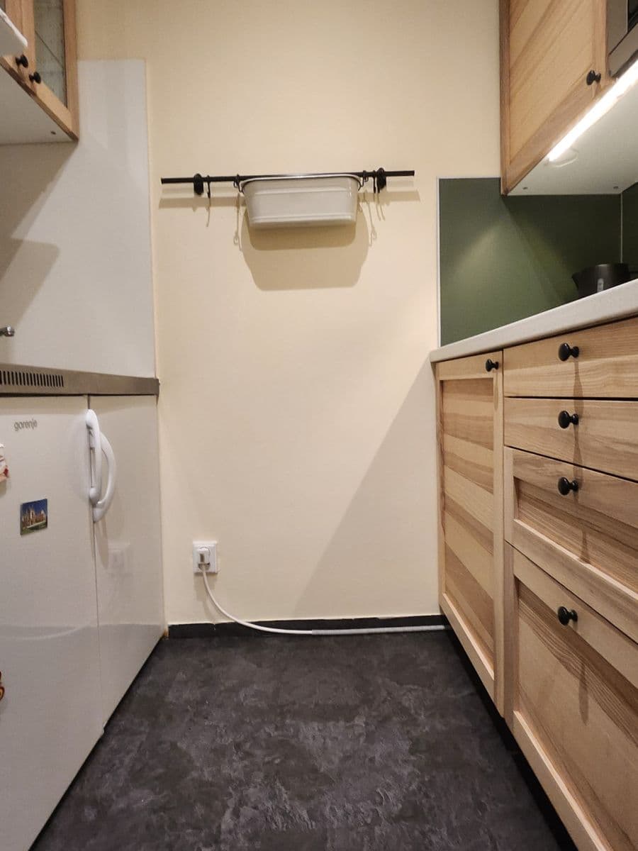 1 bedroom with open-plan kitchen flat for sale, 50 m², Cejl, Brno, Jihomoravský Region 1 bedroom with open-plan kitchen flat for sale, 50 m², Cejl, Brno, Jihomoravský Region