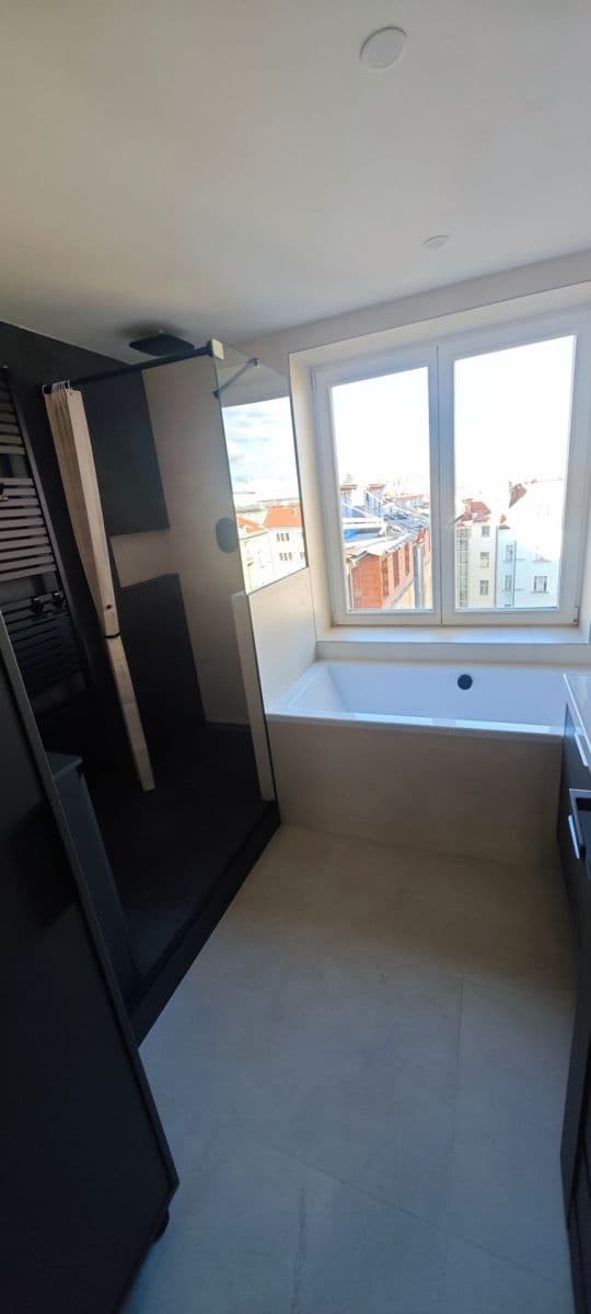 1 bedroom with open-plan kitchen flat to rent, 66 m², Vinohradská, Prague, Prague 1 bedroom with open-plan kitchen flat to rent, 66 m², Vinohradská, Prague, Prague