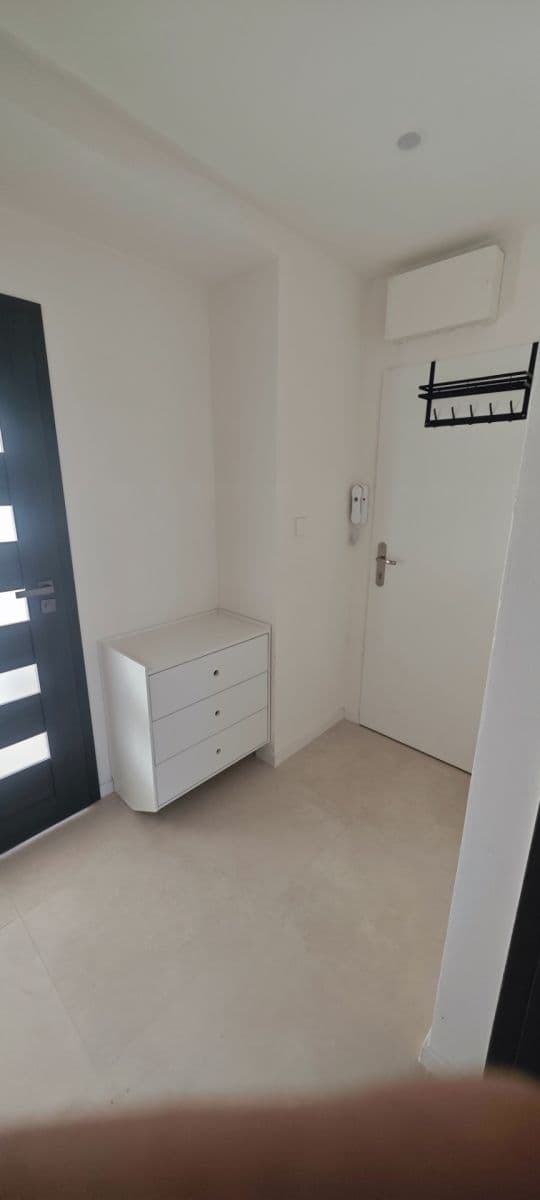 1 bedroom with open-plan kitchen flat to rent, 66 m², Vinohradská, Prague, Prague 1 bedroom with open-plan kitchen flat to rent, 66 m², Vinohradská, Prague, Prague