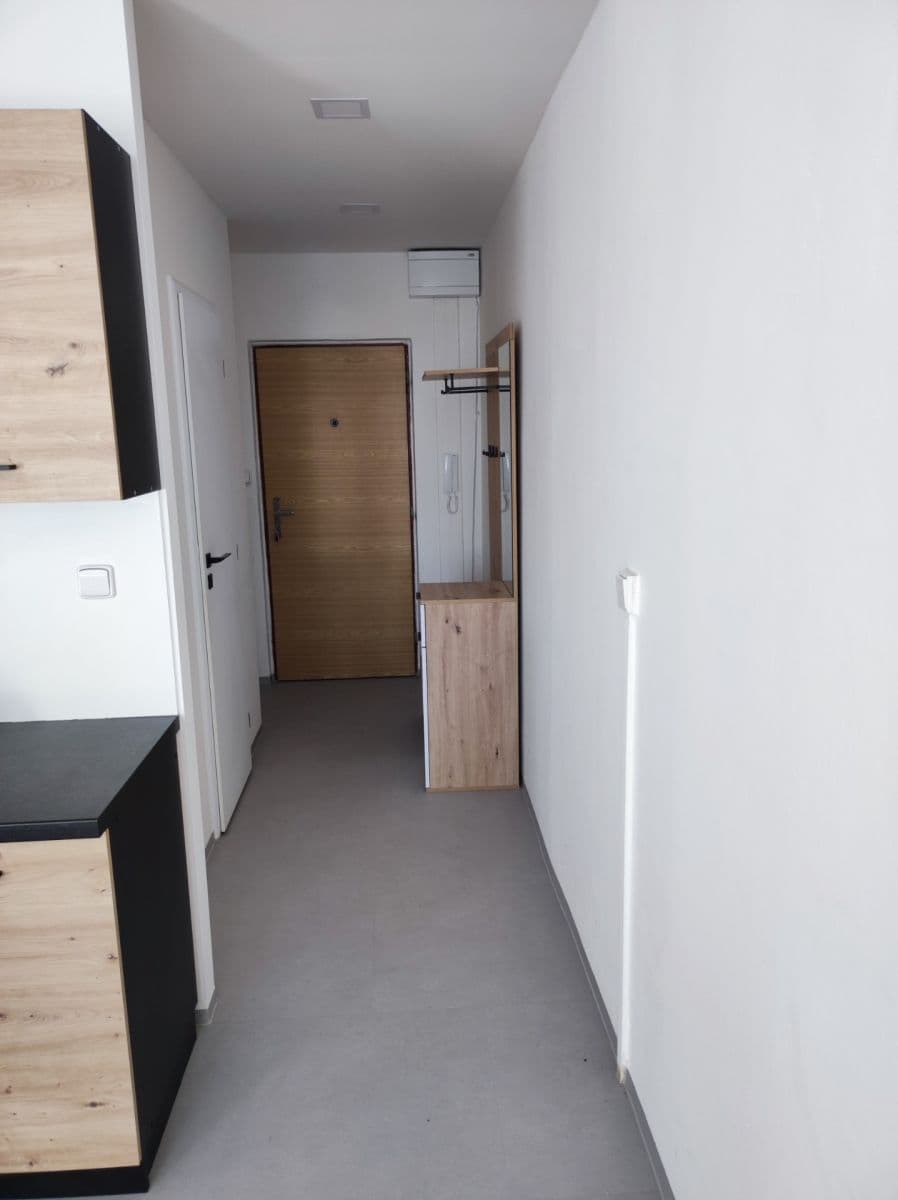 Studio flat to rent, 35 m², Brožíkova, Hradec Králové, Královéhradecký Region Studio flat to rent, 35 m², Brožíkova, Hradec Králové, Královéhradecký Region