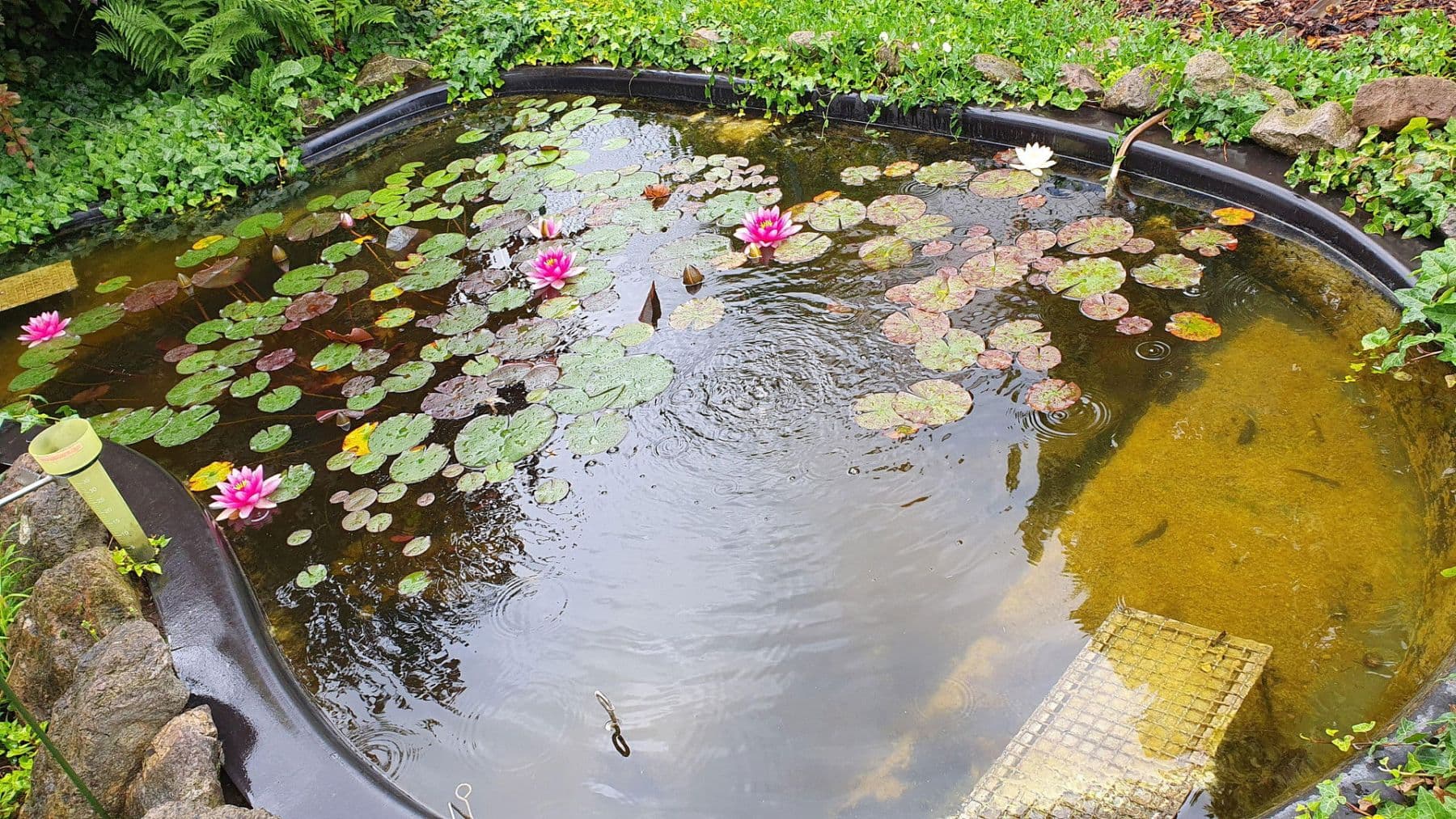 house for sale, 154 m², Ludwigshafen, Rhineland-Palatinate house for sale, 154 m², Ludwigshafen, Rhineland-Palatinate