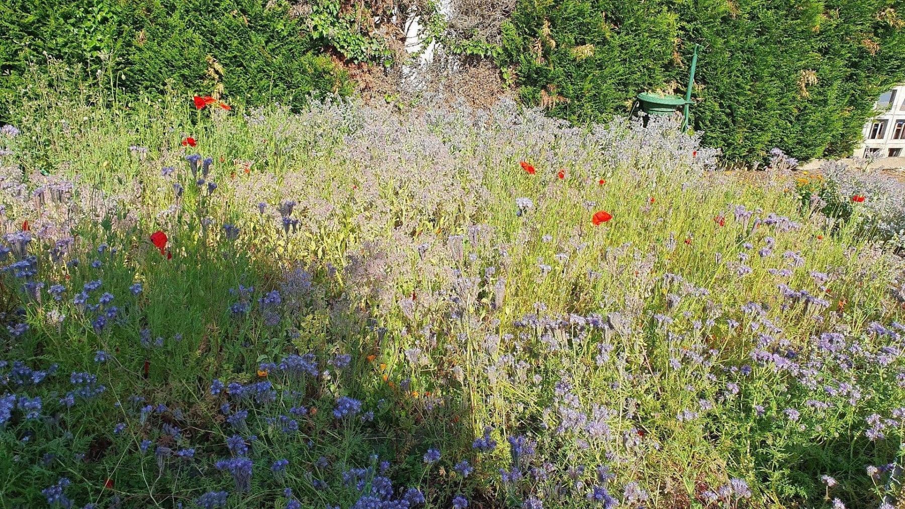 house for sale, 154 m², Ludwigshafen, Rhineland-Palatinate house for sale, 154 m², Ludwigshafen, Rhineland-Palatinate