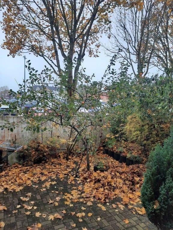 2 bedroom flat to rent, 47 m², Flensburg, Schleswig-Holstein 2 bedroom flat to rent, 47 m², Flensburg, Schleswig-Holstein