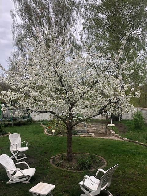 house for sale, 135 m², Hanover, Lower Saxony house for sale, 135 m², Hanover, Lower Saxony