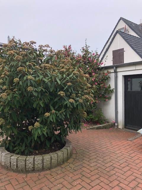 house for sale, 135 m², Hanover, Lower Saxony house for sale, 135 m², Hanover, Lower Saxony