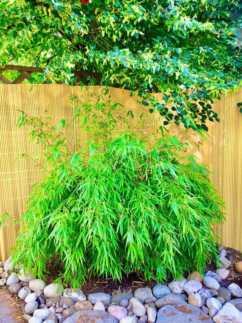 2 bedroom flat to rent, 70 m², Geschwister-Scholl-Straße, Landshut, Bavaria 2 bedroom flat to rent, 70 m², Geschwister-Scholl-Straße, Landshut, Bavaria