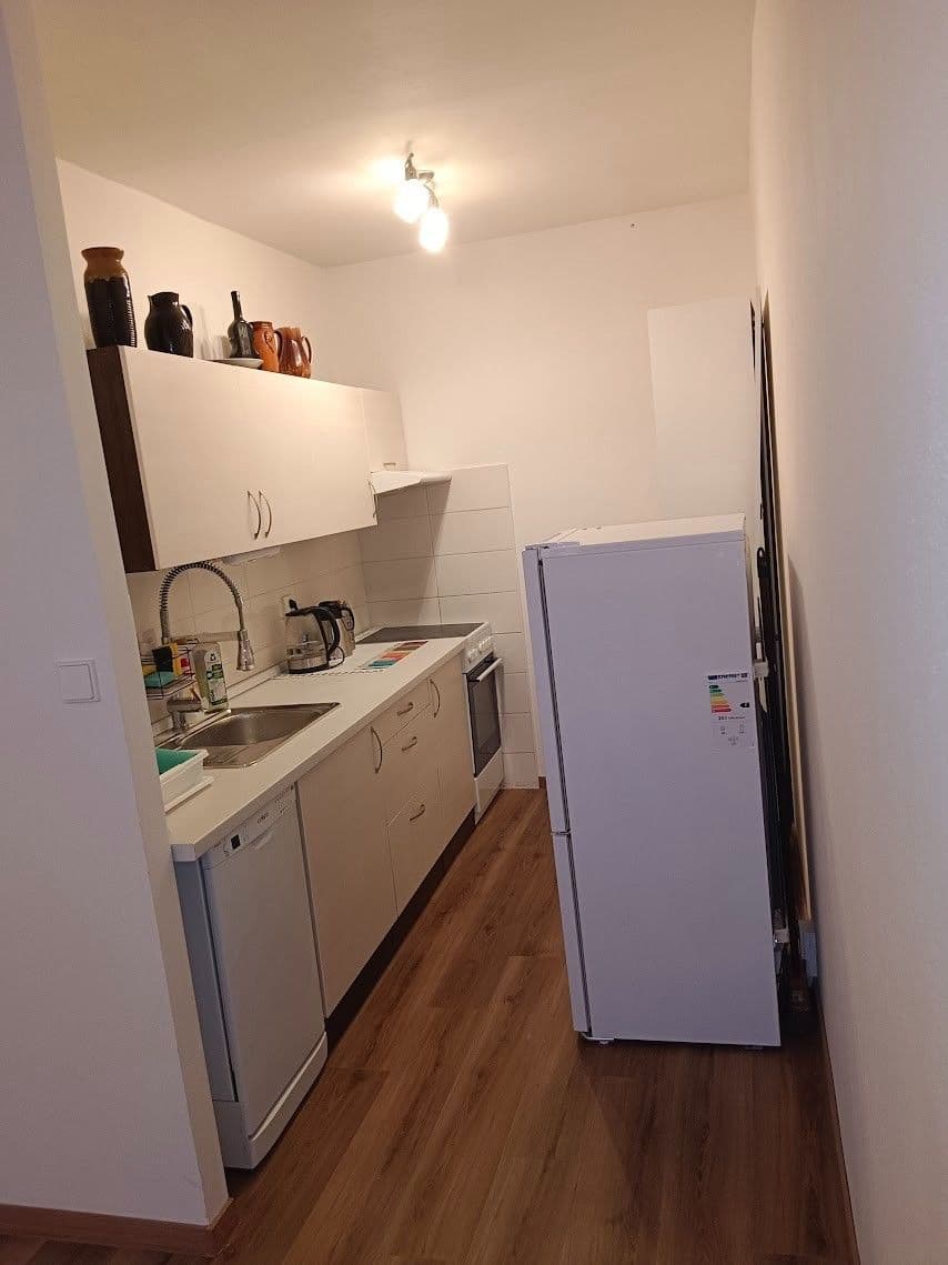 1 bedroom with open-plan kitchen flat to rent, 43 m², Vašátkova, Prague, Prague 1 bedroom with open-plan kitchen flat to rent, 43 m², Vašátkova, Prague, Prague