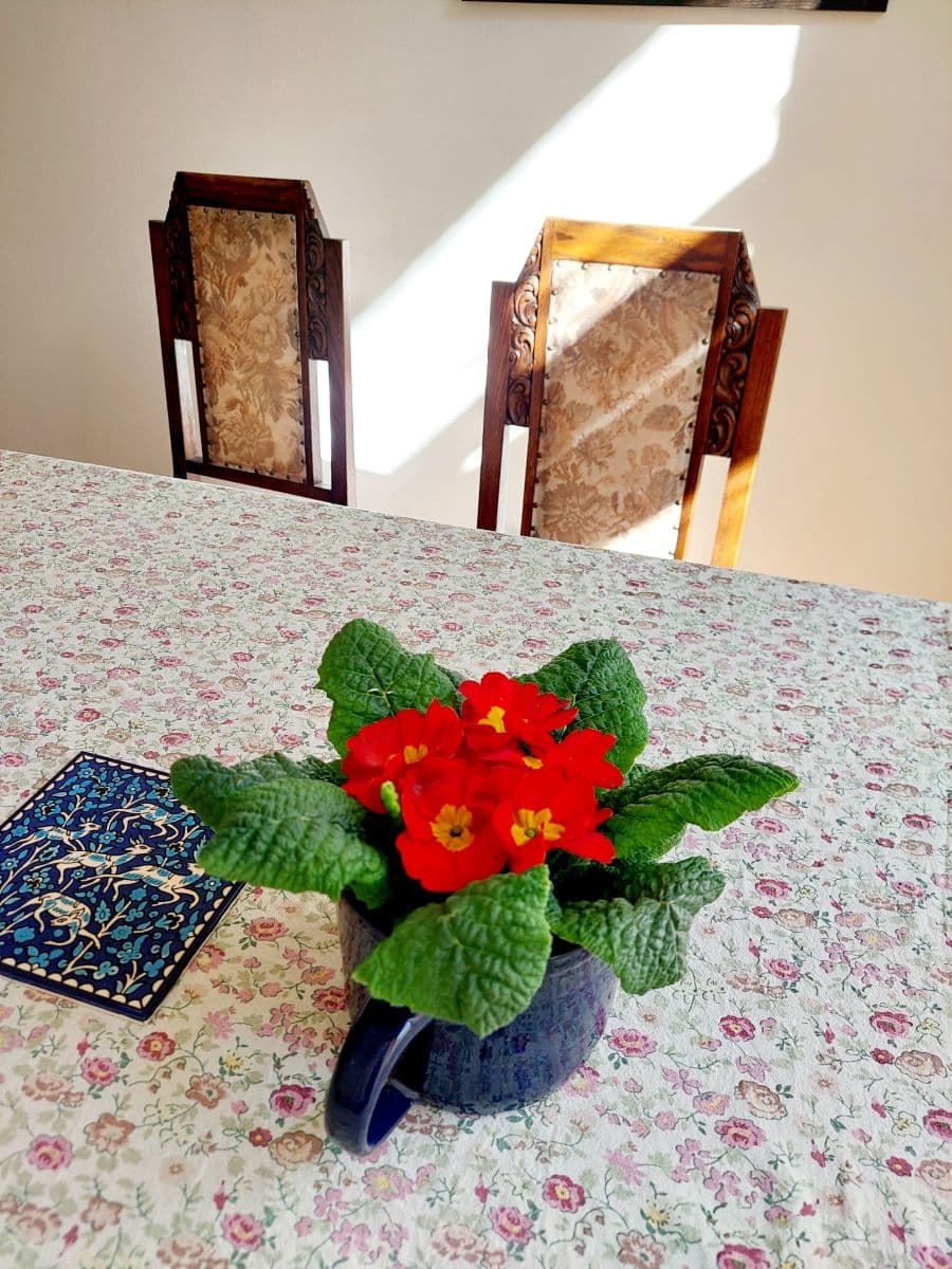 flat to rent, 84 m², Mánesova, Prague, Prague flat to rent, 84 m², Mánesova, Prague, Prague