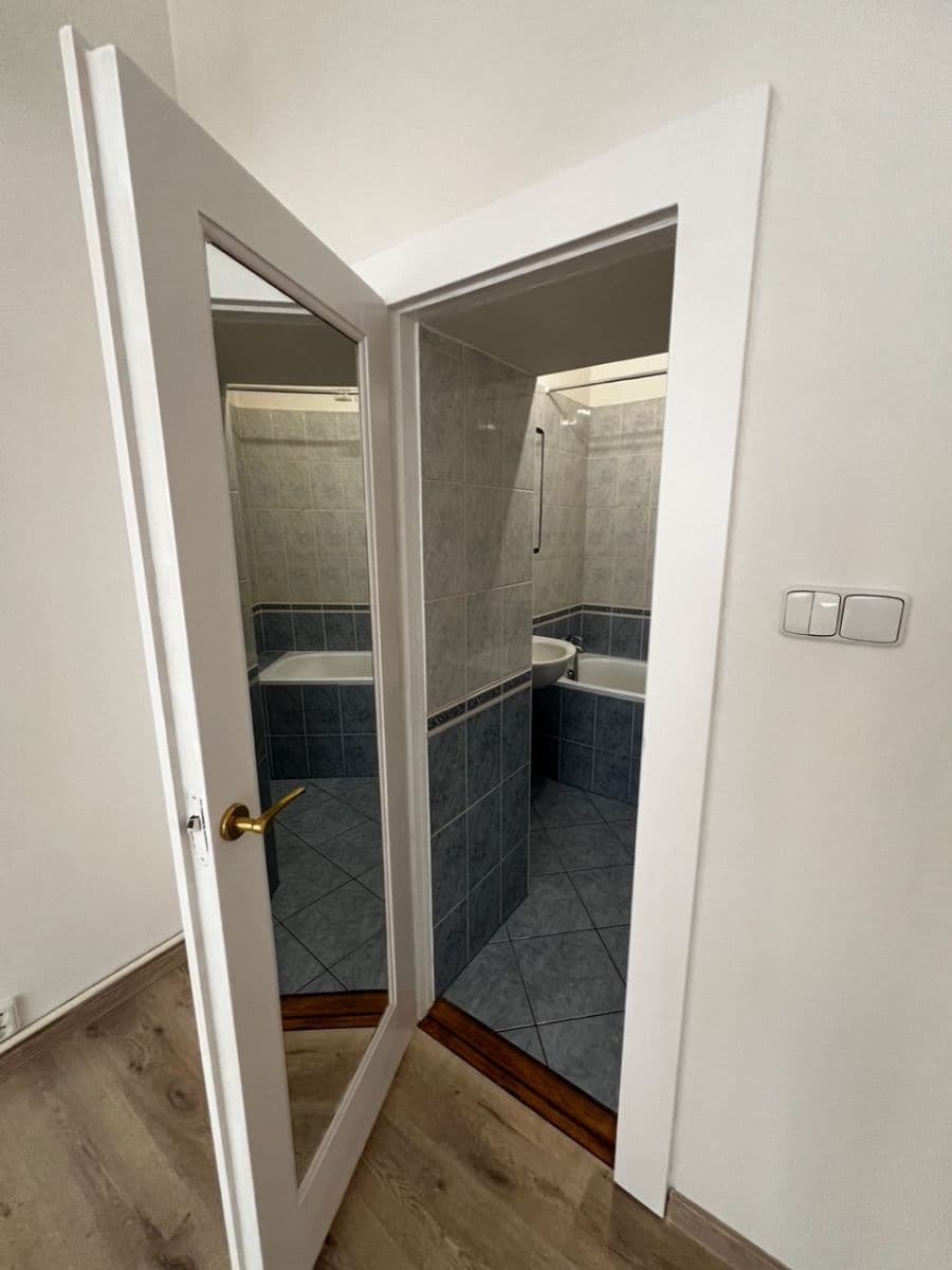 1 bedroom with open-plan kitchen flat to rent, 48 m², Andrštova, Prague, Prague 1 bedroom with open-plan kitchen flat to rent, 48 m², Andrštova, Prague, Prague