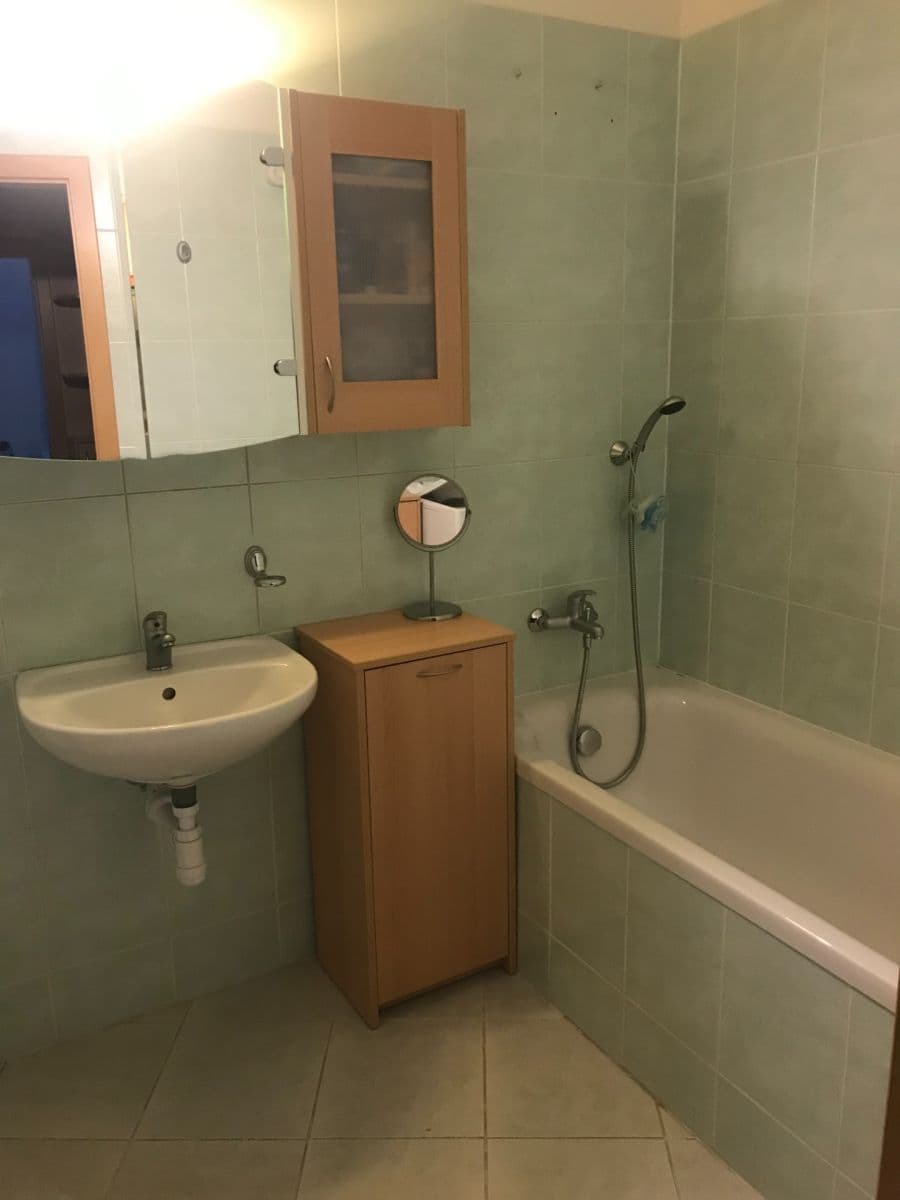 1 bedroom with open-plan kitchen flat to rent, 49 m², J. Palacha, Břeclav, Jihomoravský Region 1 bedroom with open-plan kitchen flat to rent, 49 m², J. Palacha, Břeclav, Jihomoravský Region