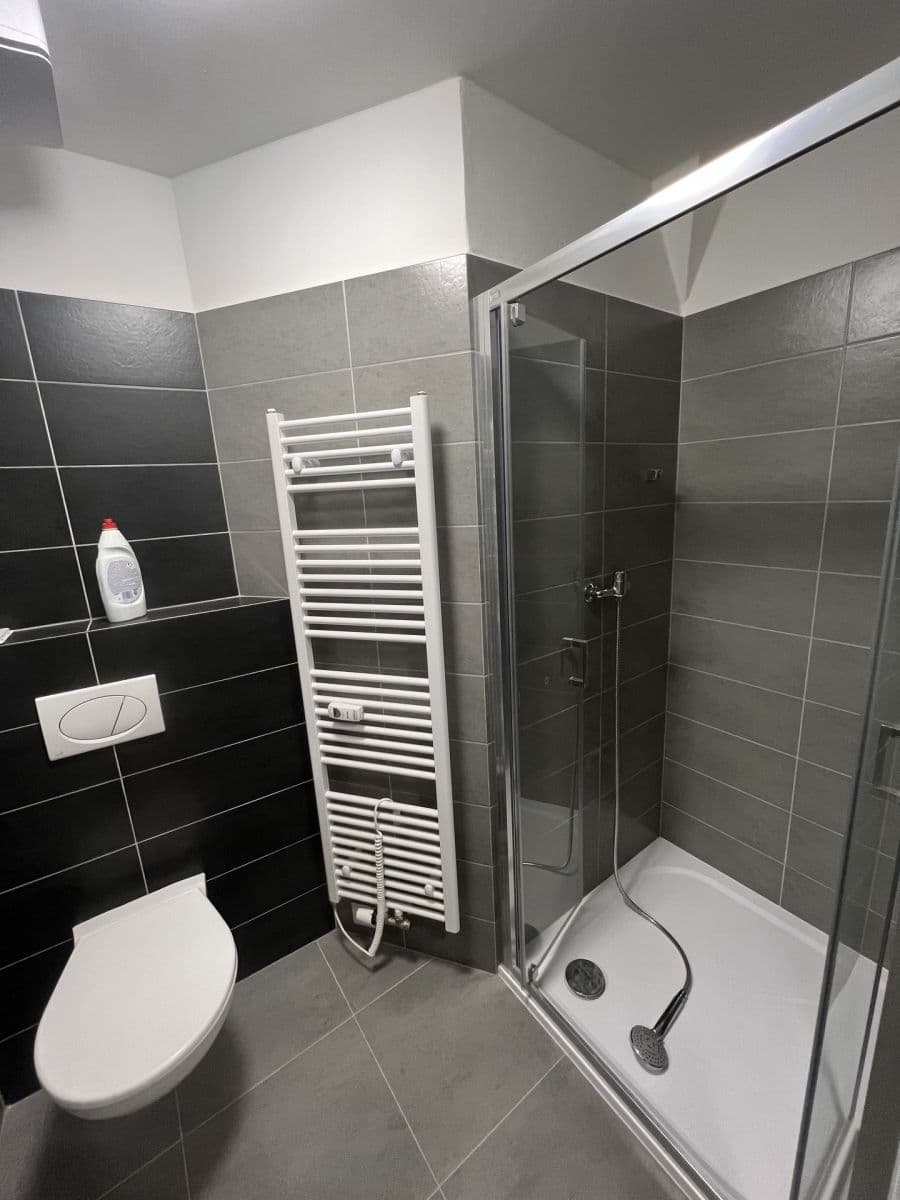 1 bedroom with open-plan kitchen flat for sale, 45 m², Bratislavská, Brno, Jihomoravský Region 1 bedroom with open-plan kitchen flat for sale, 45 m², Bratislavská, Brno, Jihomoravský Region