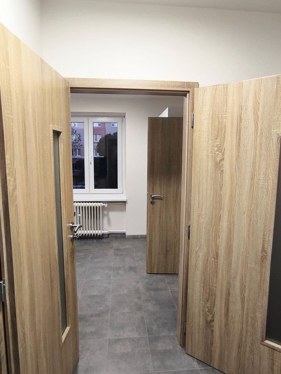 1 bedroom flat to rent, 30 m², Partyzánská, Plzeň, Plzeňský Region 1 bedroom flat to rent, 30 m², Partyzánská, Plzeň, Plzeňský Region