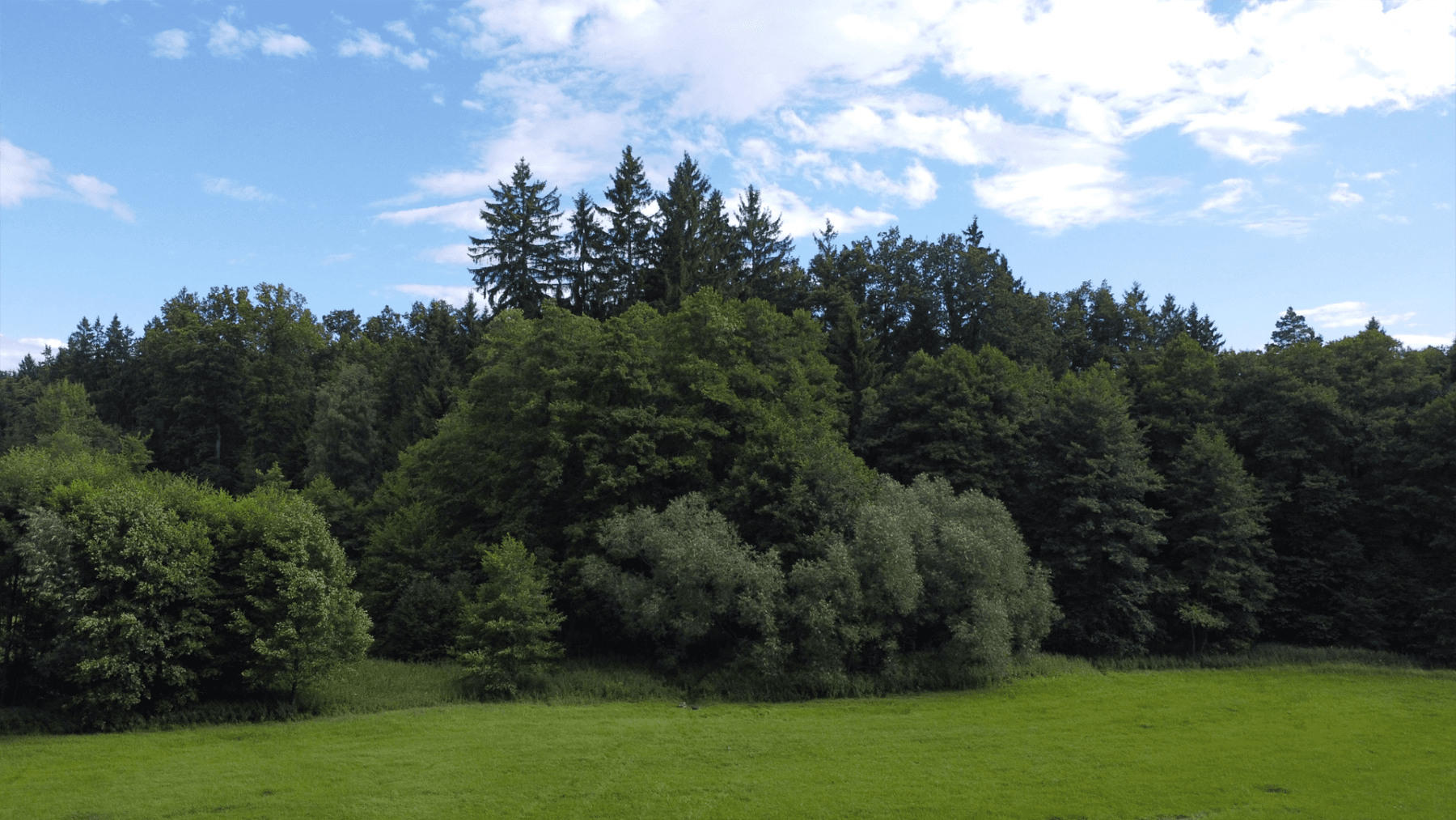 plot for sale, 2,300 m², Hluboká nad Vltavou, Jihočeský Region plot for sale, 2,300 m², Hluboká nad Vltavou, Jihočeský Region