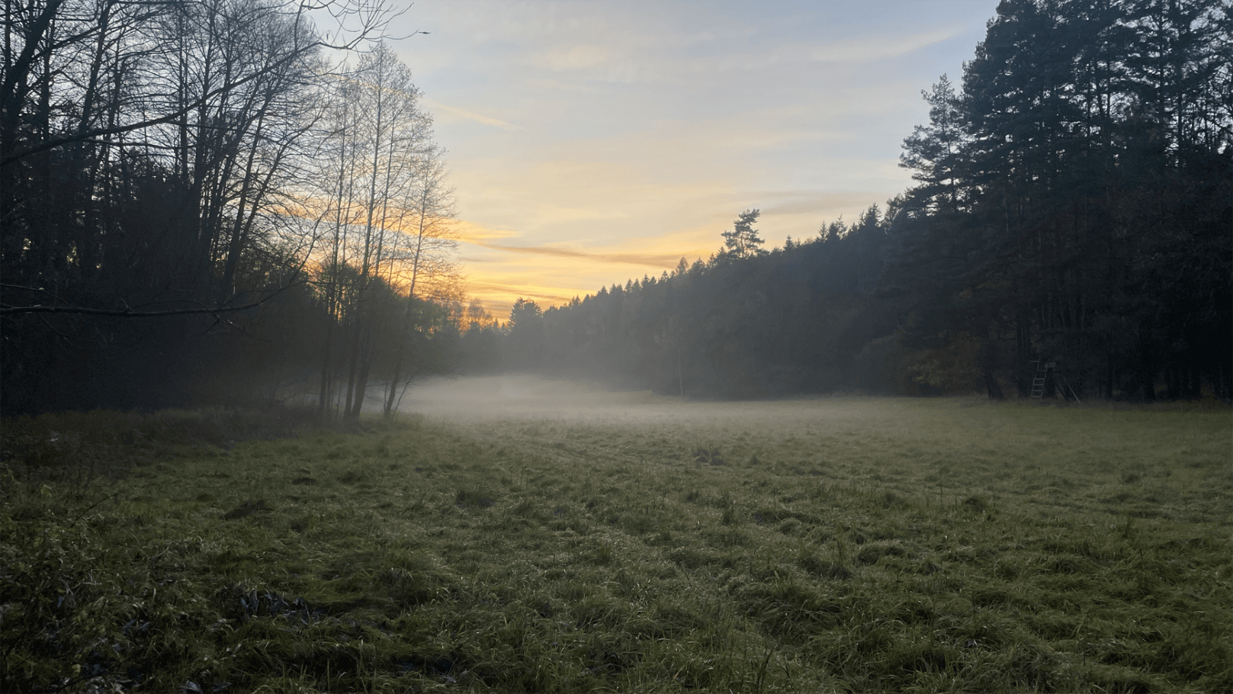 plot for sale, 2,300 m², Hluboká nad Vltavou, Jihočeský Region plot for sale, 2,300 m², Hluboká nad Vltavou, Jihočeský Region