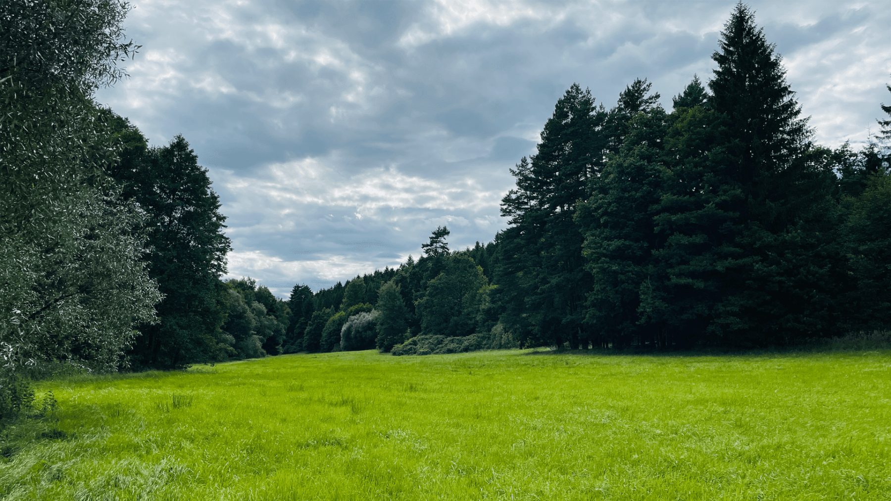 plot for sale, 2,300 m², Hluboká nad Vltavou, Jihočeský Region plot for sale, 2,300 m², Hluboká nad Vltavou, Jihočeský Region