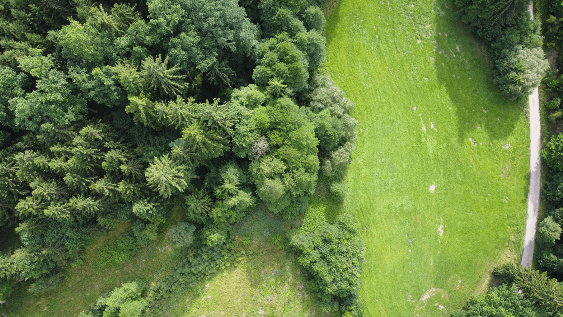 plot for sale, 2,300 m², Hluboká nad Vltavou, Jihočeský Region plot for sale, 2,300 m², Hluboká nad Vltavou, Jihočeský Region