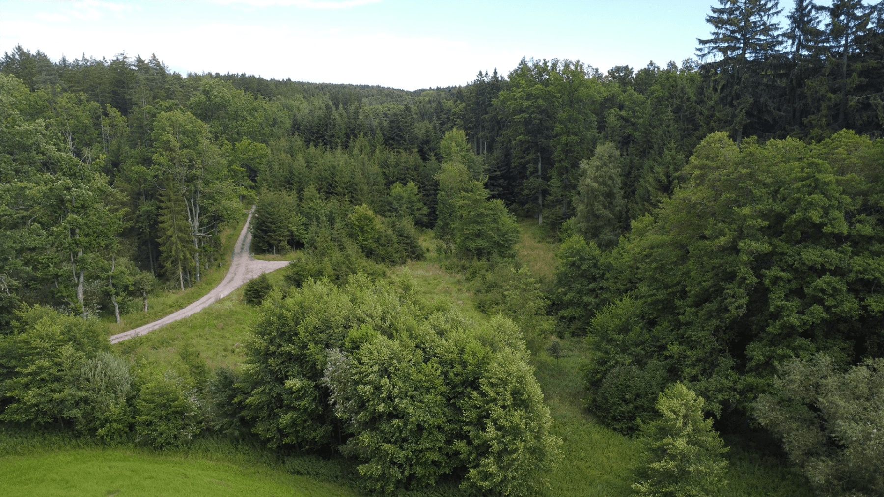 plot for sale, 2,300 m², Hluboká nad Vltavou, Jihočeský Region plot for sale, 2,300 m², Hluboká nad Vltavou, Jihočeský Region