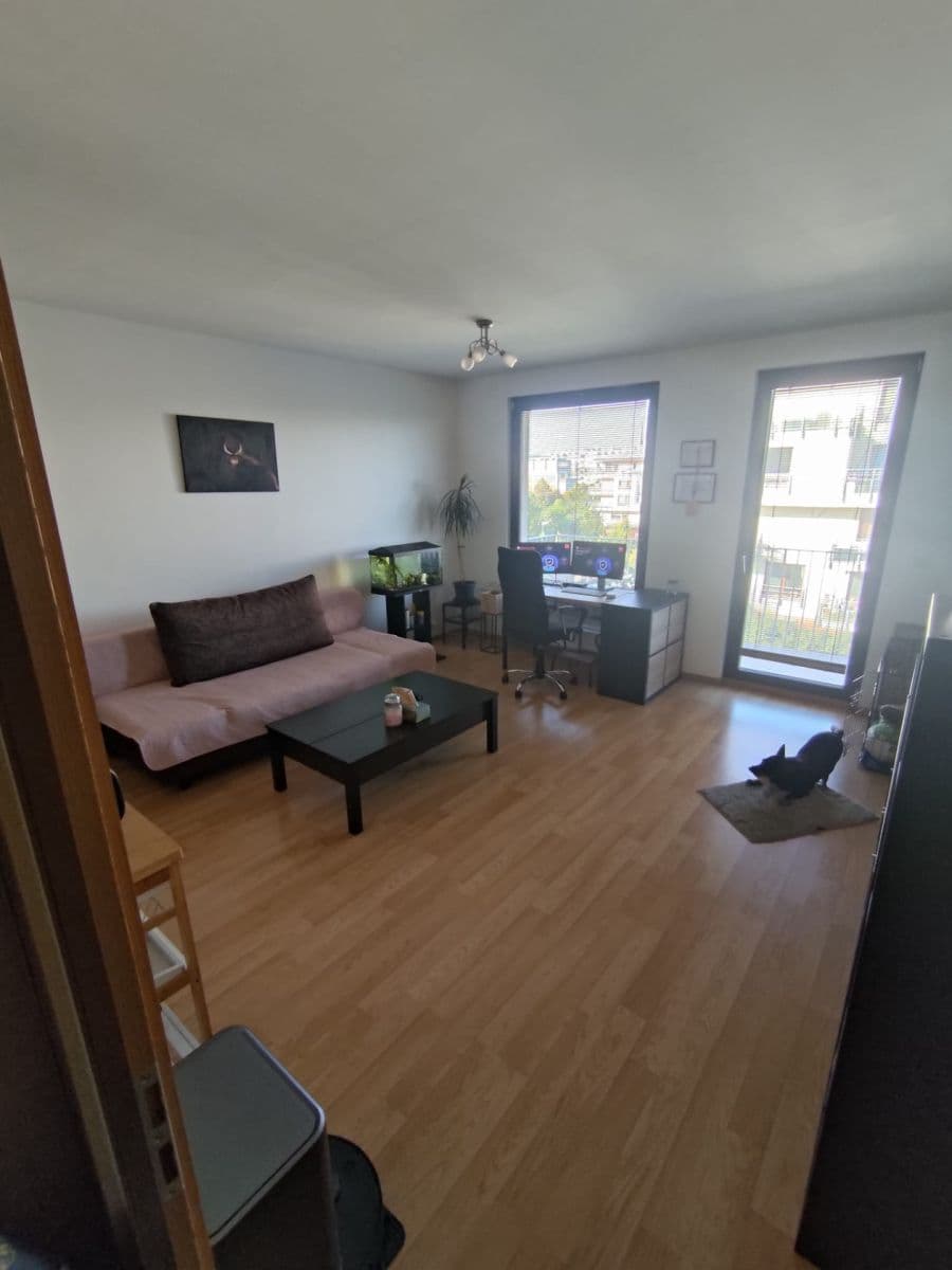 1 bedroom with open-plan kitchen flat to rent, 59 m², Sousedíkova, Prague, Prague 1 bedroom with open-plan kitchen flat to rent, 59 m², Sousedíkova, Prague, Prague