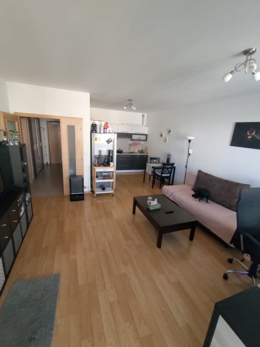 1 bedroom with open-plan kitchen flat to rent, 59 m², Sousedíkova, Prague, Prague 1 bedroom with open-plan kitchen flat to rent, 59 m², Sousedíkova, Prague, Prague