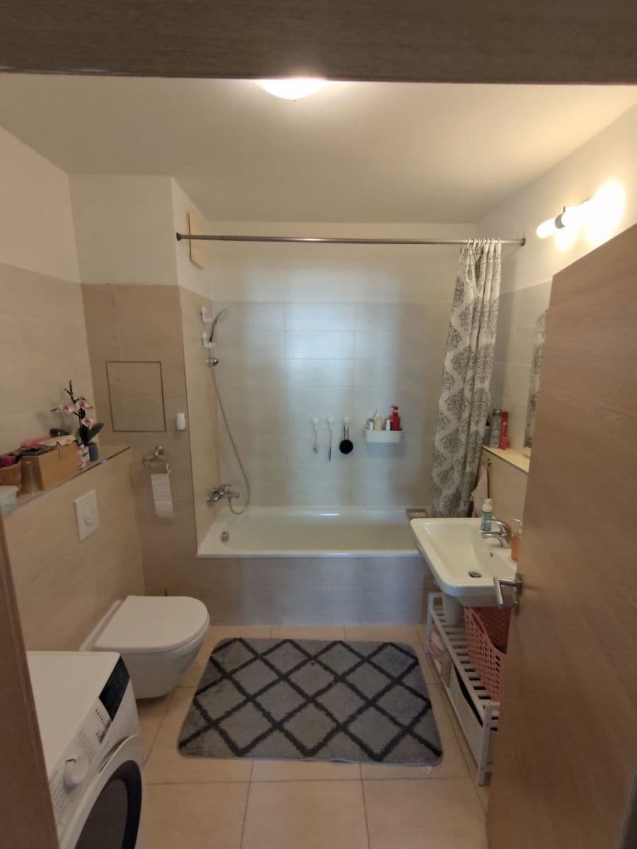 1 bedroom with open-plan kitchen flat to rent, 59 m², Sousedíkova, Prague, Prague 1 bedroom with open-plan kitchen flat to rent, 59 m², Sousedíkova, Prague, Prague