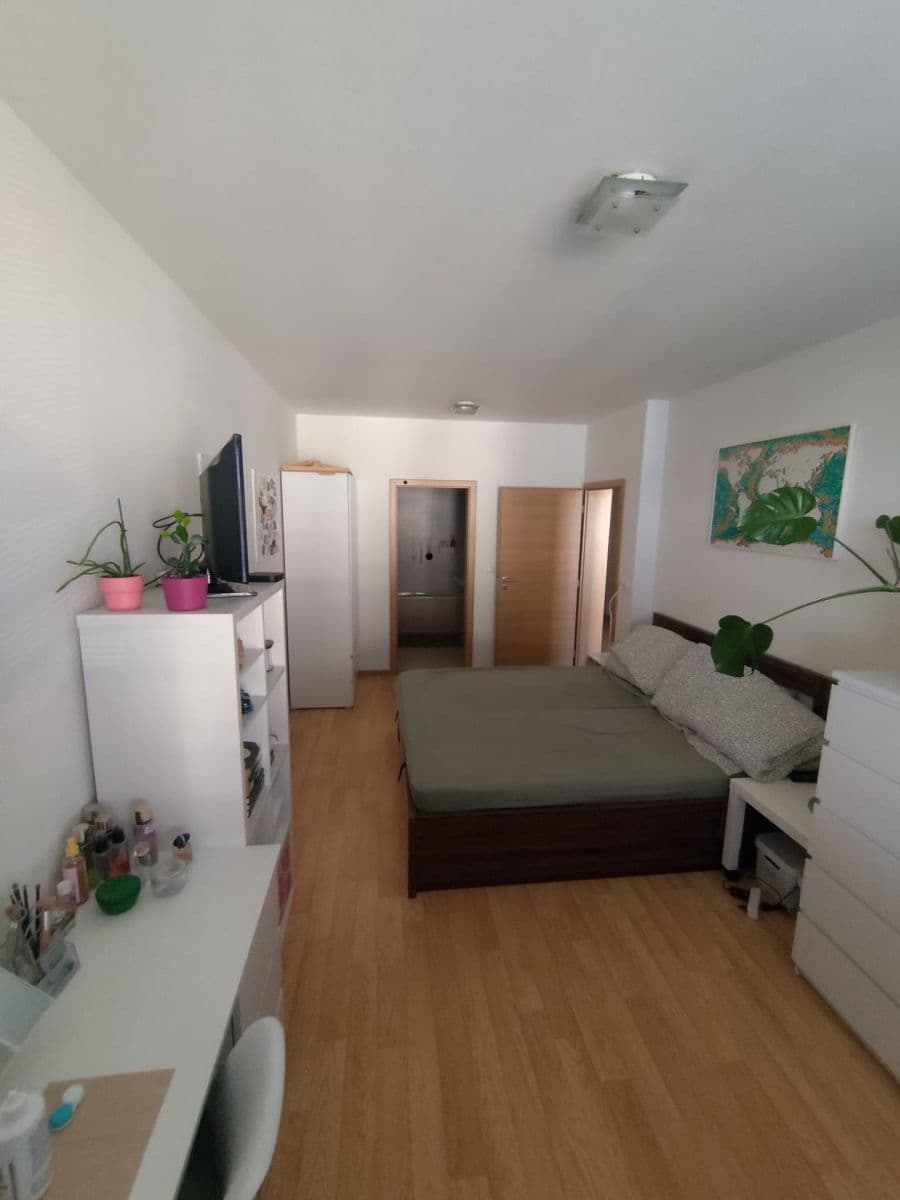 1 bedroom with open-plan kitchen flat to rent, 59 m², Sousedíkova, Prague, Prague 1 bedroom with open-plan kitchen flat to rent, 59 m², Sousedíkova, Prague, Prague