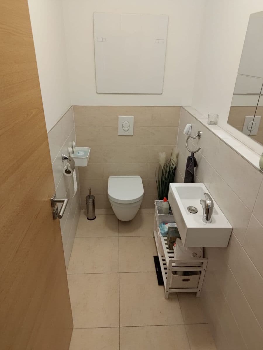1 bedroom with open-plan kitchen flat to rent, 59 m², Sousedíkova, Prague, Prague 1 bedroom with open-plan kitchen flat to rent, 59 m², Sousedíkova, Prague, Prague