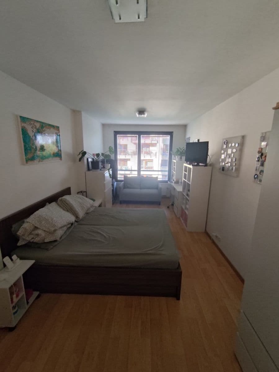 1 bedroom with open-plan kitchen flat to rent, 59 m², Sousedíkova, Prague, Prague 1 bedroom with open-plan kitchen flat to rent, 59 m², Sousedíkova, Prague, Prague