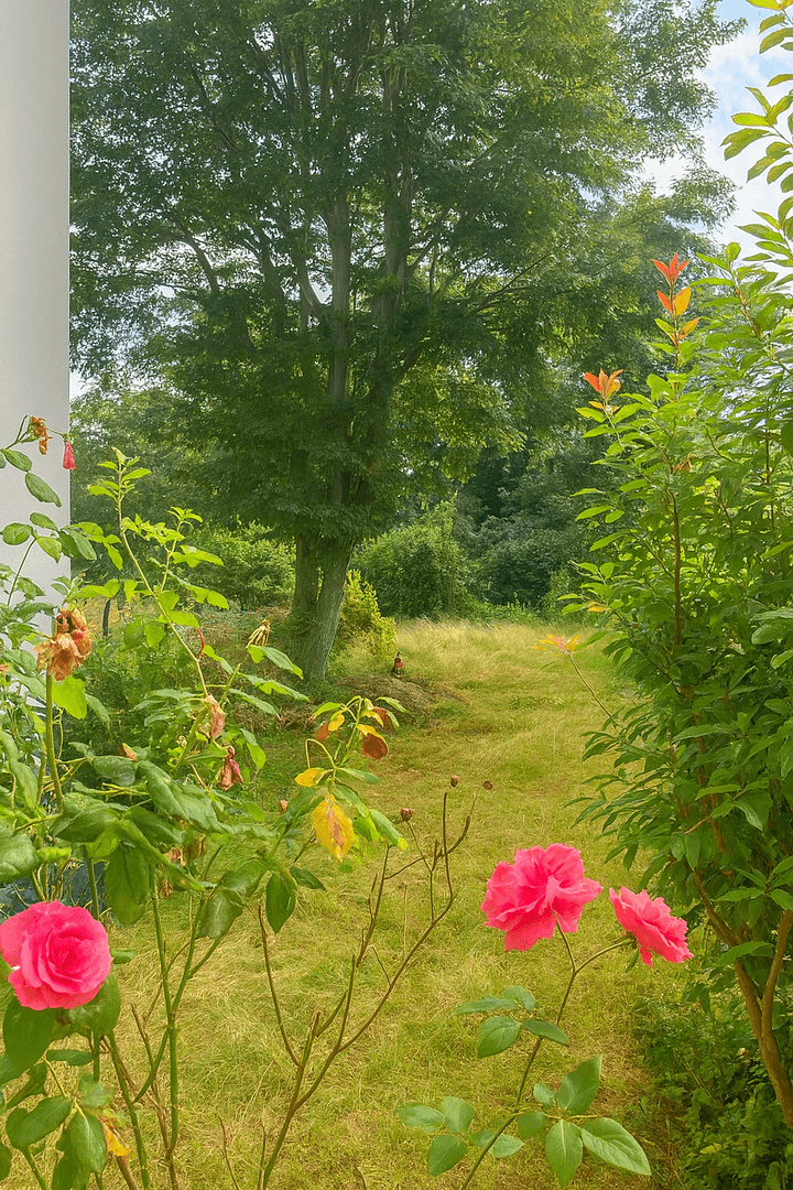 3 bedroom flat for sale, 70 m², Julius-Leber-Straße 9, Bonn, North Rhine-Westphalia 3 bedroom flat for sale, 70 m², Julius-Leber-Straße 9, Bonn, North Rhine-Westphalia