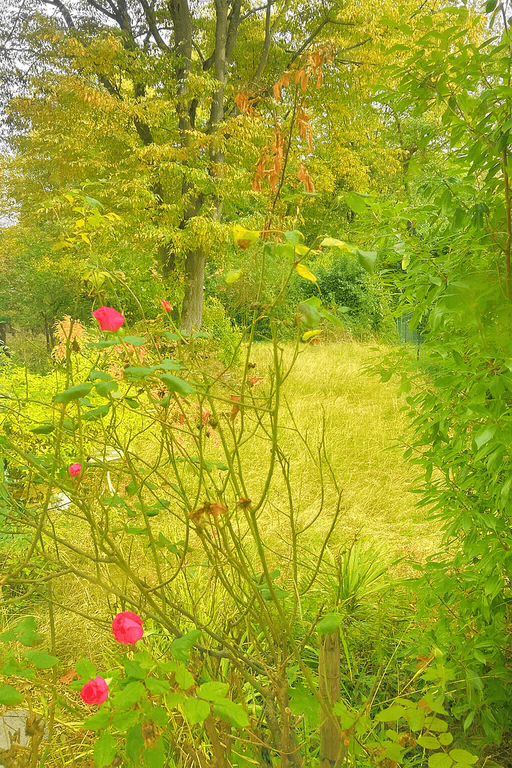 3 bedroom flat for sale, 70 m², Julius-Leber-Straße 9, Bonn, North Rhine-Westphalia 3 bedroom flat for sale, 70 m², Julius-Leber-Straße 9, Bonn, North Rhine-Westphalia