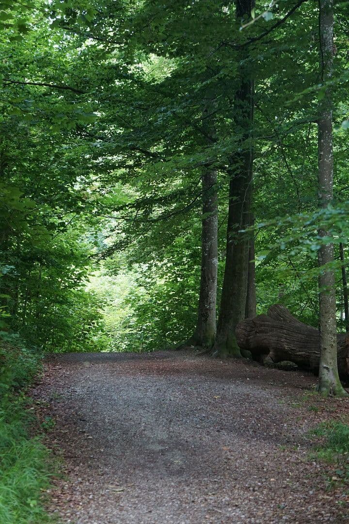 3 bedroom flat for sale, 126 m², Mariaberger Str. 33, Kempten (Allgäu), Bavaria 3 bedroom flat for sale, 126 m², Mariaberger Str. 33, Kempten (Allgäu), Bavaria