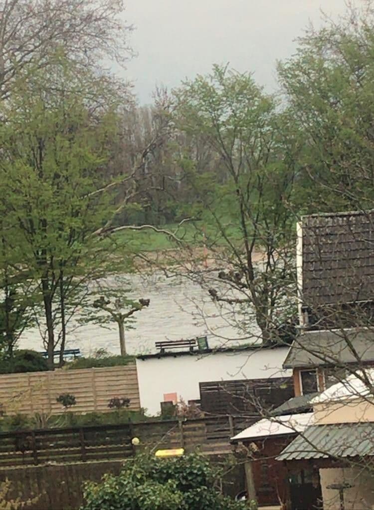 house for sale, 295 m², Duisburgerstr., Duisburg, North Rhine-Westphalia house for sale, 295 m², Duisburgerstr., Duisburg, North Rhine-Westphalia