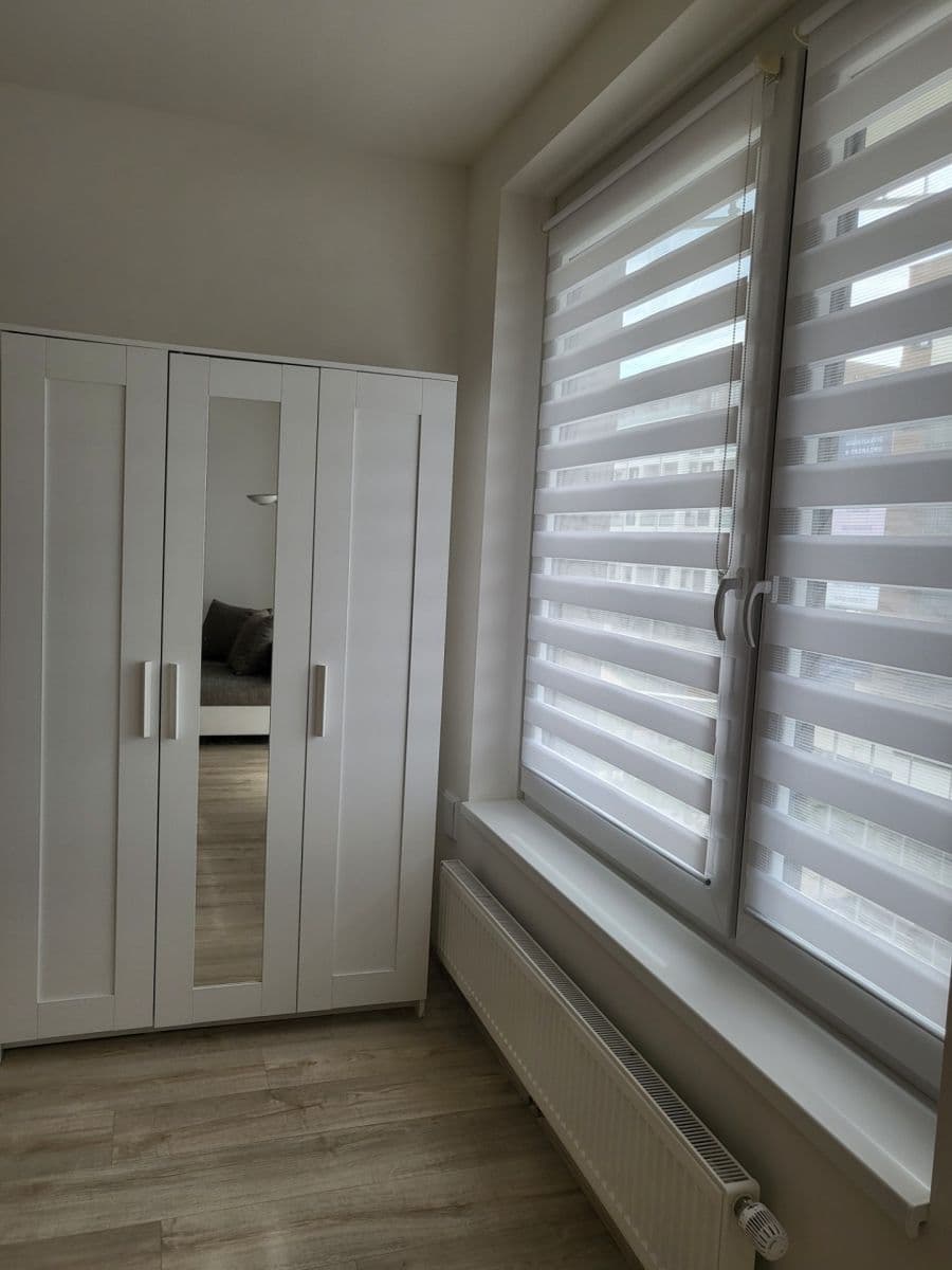 1 bedroom with open-plan kitchen flat to rent, 52 m², Vítové, Prague, Prague 1 bedroom with open-plan kitchen flat to rent, 52 m², Vítové, Prague, Prague