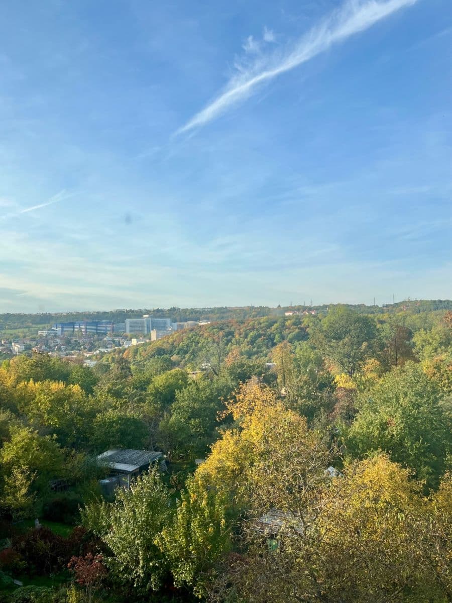 2 bedroom flat to rent, 80 m², Nad Zámečkem, Prague, Prague 2 bedroom flat to rent, 80 m², Nad Zámečkem, Prague, Prague