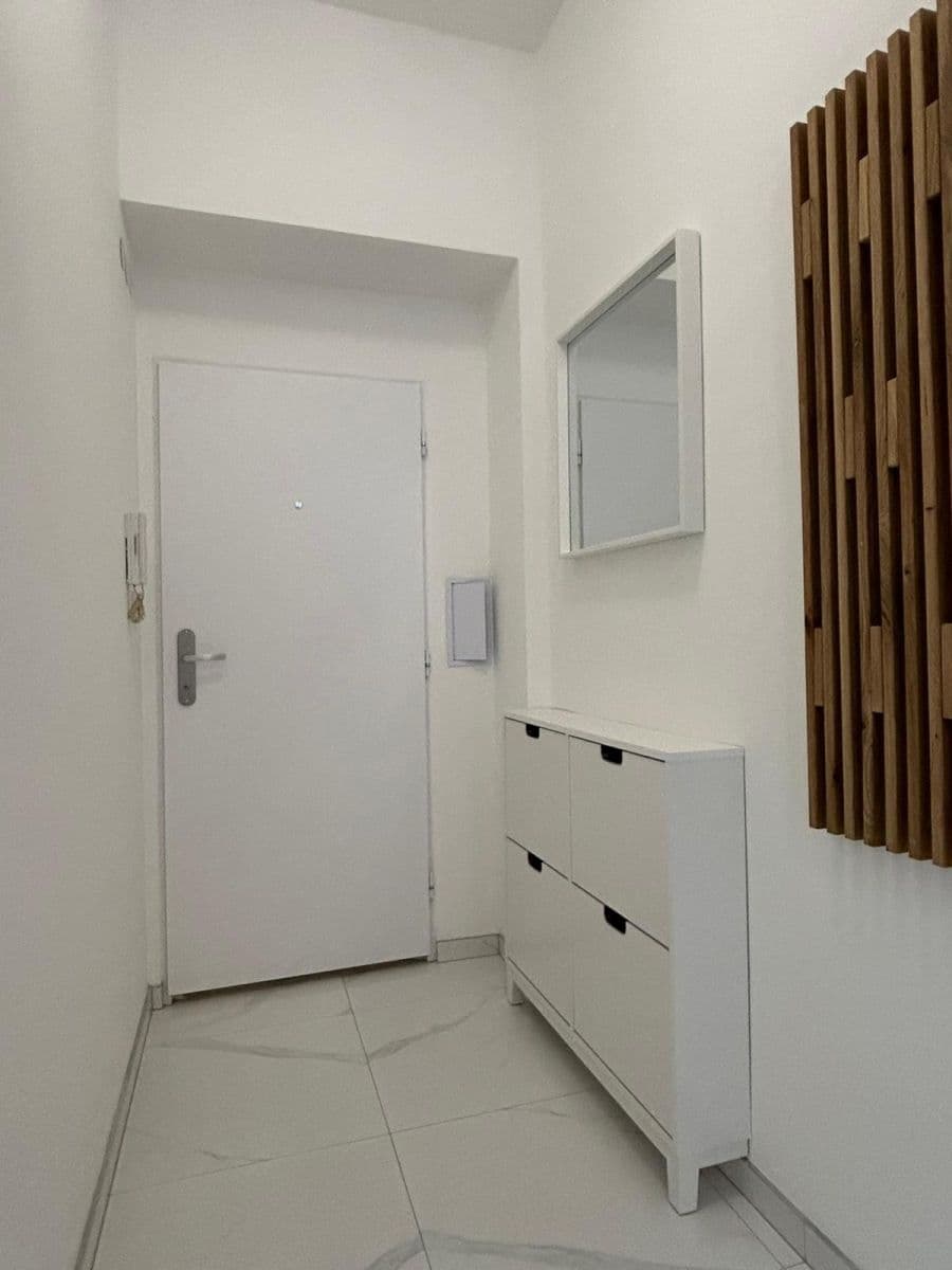 1 bedroom with open-plan kitchen flat to rent, 39 m², Braunerova, Prague, Prague 1 bedroom with open-plan kitchen flat to rent, 39 m², Braunerova, Prague, Prague