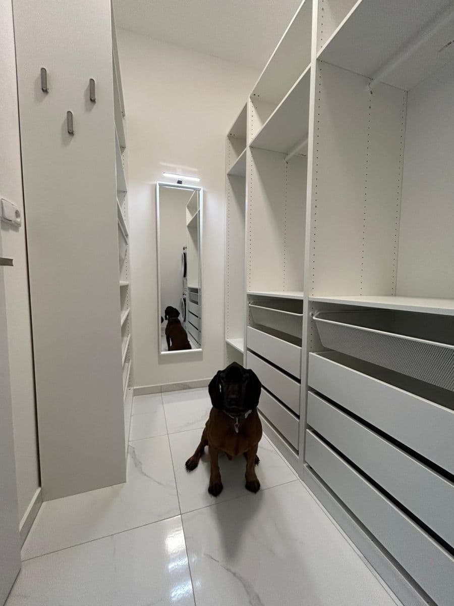 1 bedroom with open-plan kitchen flat to rent, 39 m², Braunerova, Prague, Prague 1 bedroom with open-plan kitchen flat to rent, 39 m², Braunerova, Prague, Prague