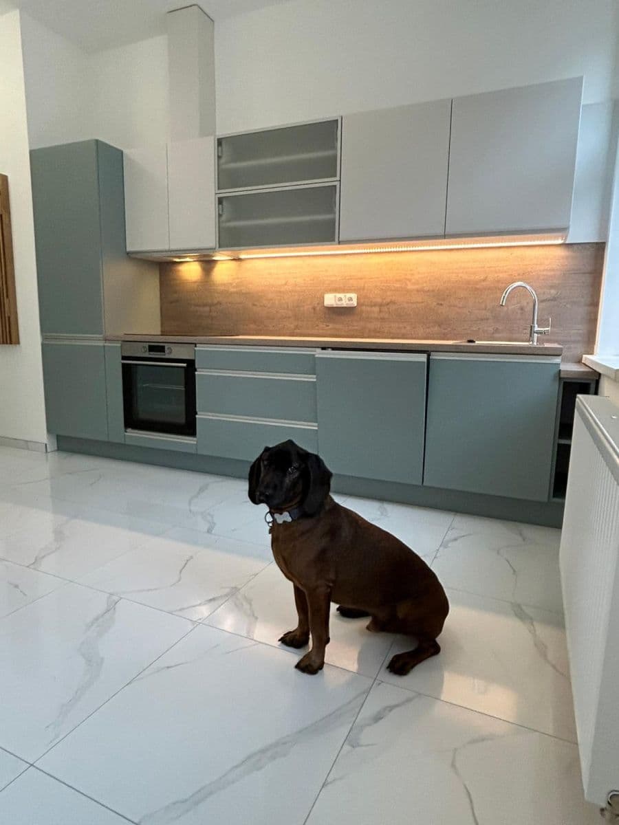 1 bedroom with open-plan kitchen flat to rent, 39 m², Braunerova, Prague, Prague 1 bedroom with open-plan kitchen flat to rent, 39 m², Braunerova, Prague, Prague