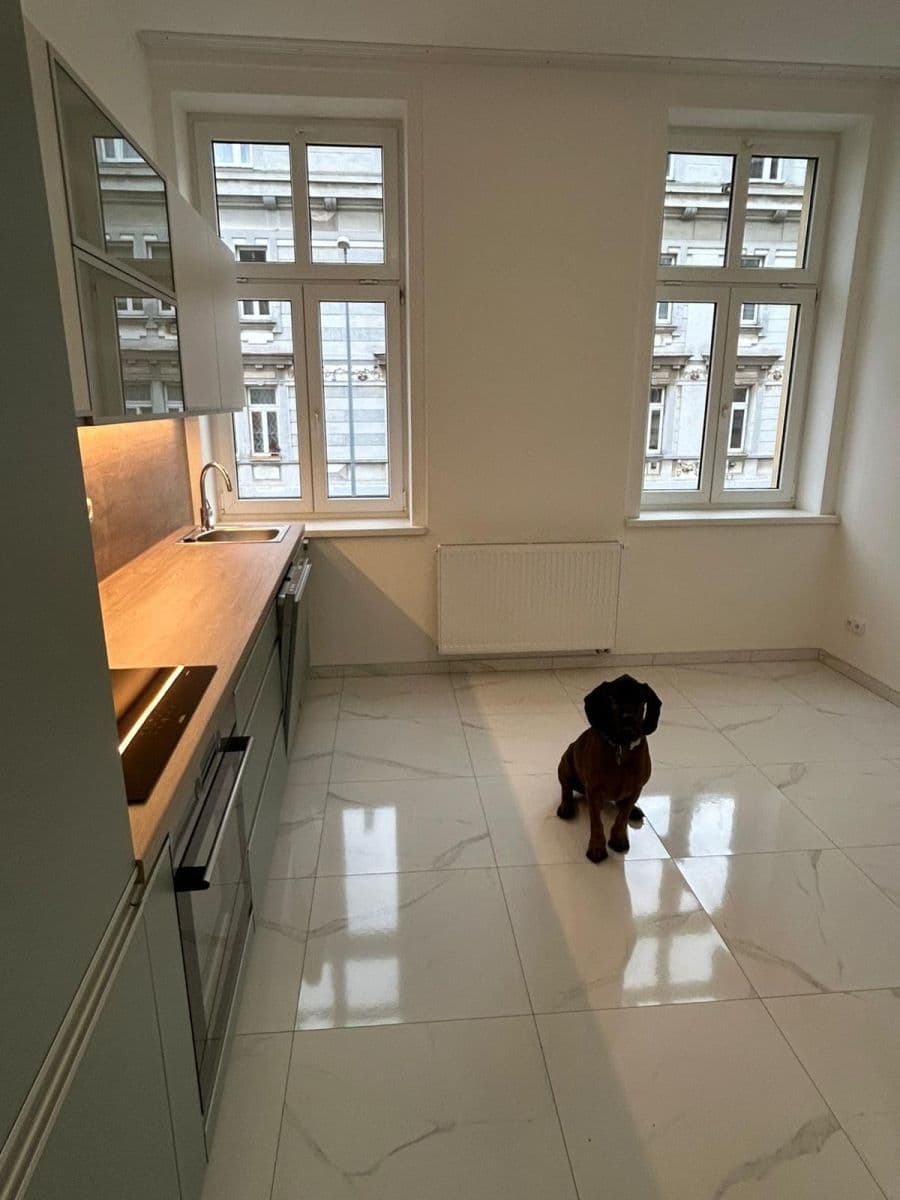 1 bedroom with open-plan kitchen flat to rent, 39 m², Braunerova, Prague, Prague 1 bedroom with open-plan kitchen flat to rent, 39 m², Braunerova, Prague, Prague