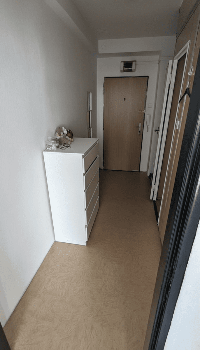 Studio flat to rent, 35 m², Hartigova, Prague, Prague Studio flat to rent, 35 m², Hartigova, Prague, Prague
