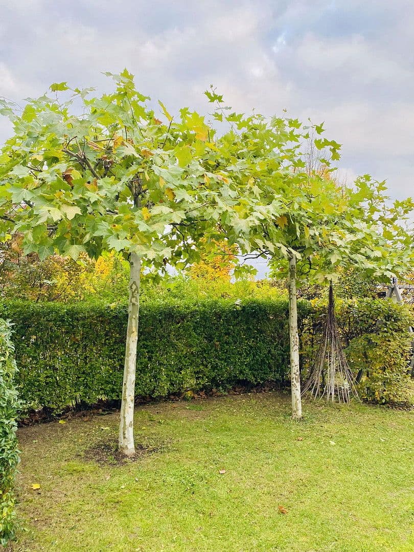 house for sale, 144 m², Waiblingen, Baden-Württemberg house for sale, 144 m², Waiblingen, Baden-Württemberg