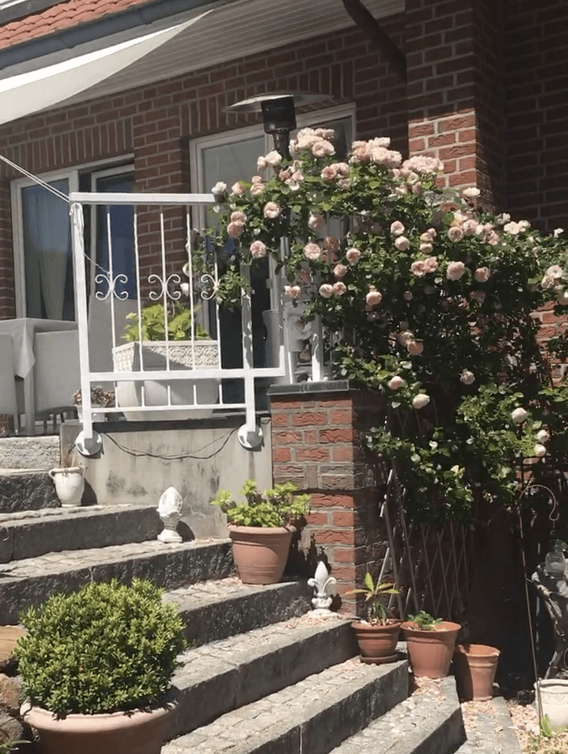 house for sale, 280 m², Ratzeburg, Schleswig-Holstein house for sale, 280 m², Ratzeburg, Schleswig-Holstein