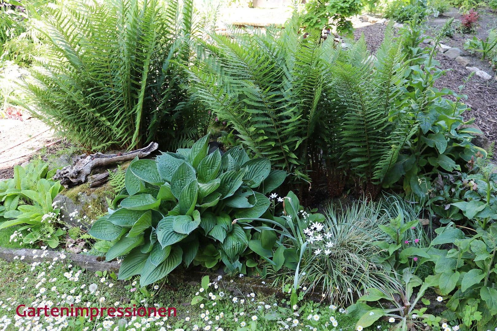 house for sale, 520 m², Bad Berneck im Fichtelgebirge, Bavaria house for sale, 520 m², Bad Berneck im Fichtelgebirge, Bavaria