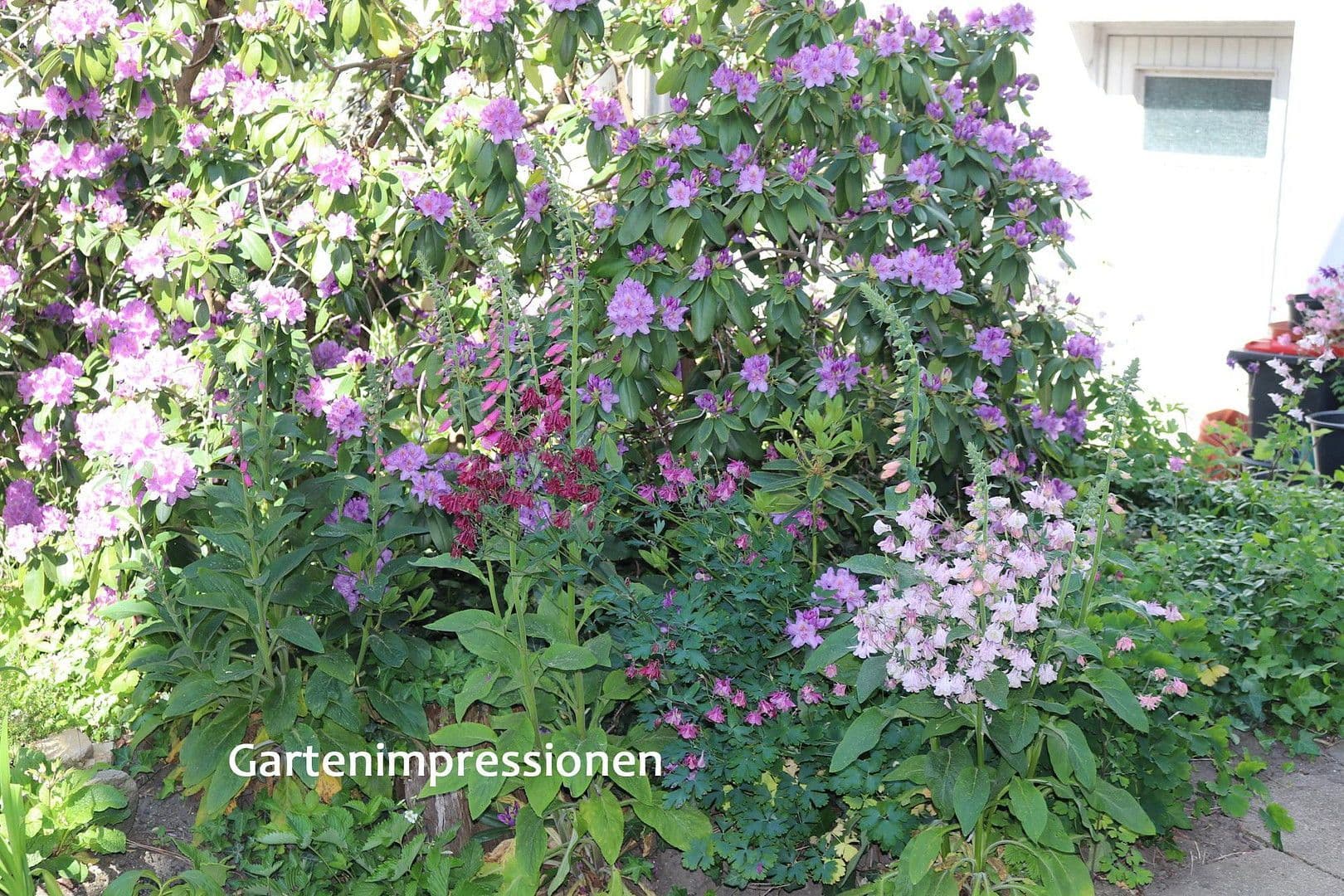 house for sale, 520 m², Bad Berneck im Fichtelgebirge, Bavaria house for sale, 520 m², Bad Berneck im Fichtelgebirge, Bavaria