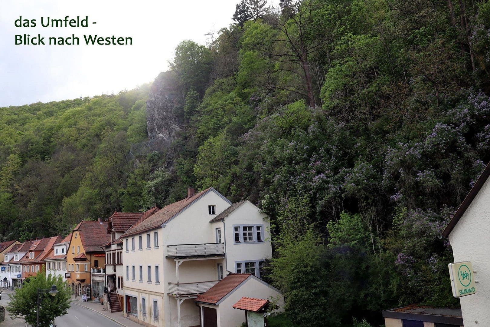 house for sale, 520 m², Bad Berneck im Fichtelgebirge, Bavaria house for sale, 520 m², Bad Berneck im Fichtelgebirge, Bavaria