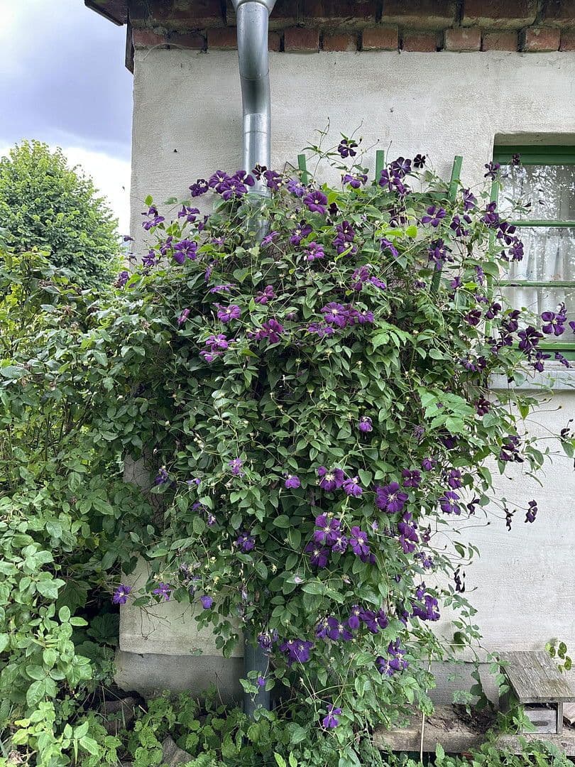 house for sale, 145 m², Gnevkow, Mecklenburg-Vorpommern house for sale, 145 m², Gnevkow, Mecklenburg-Vorpommern