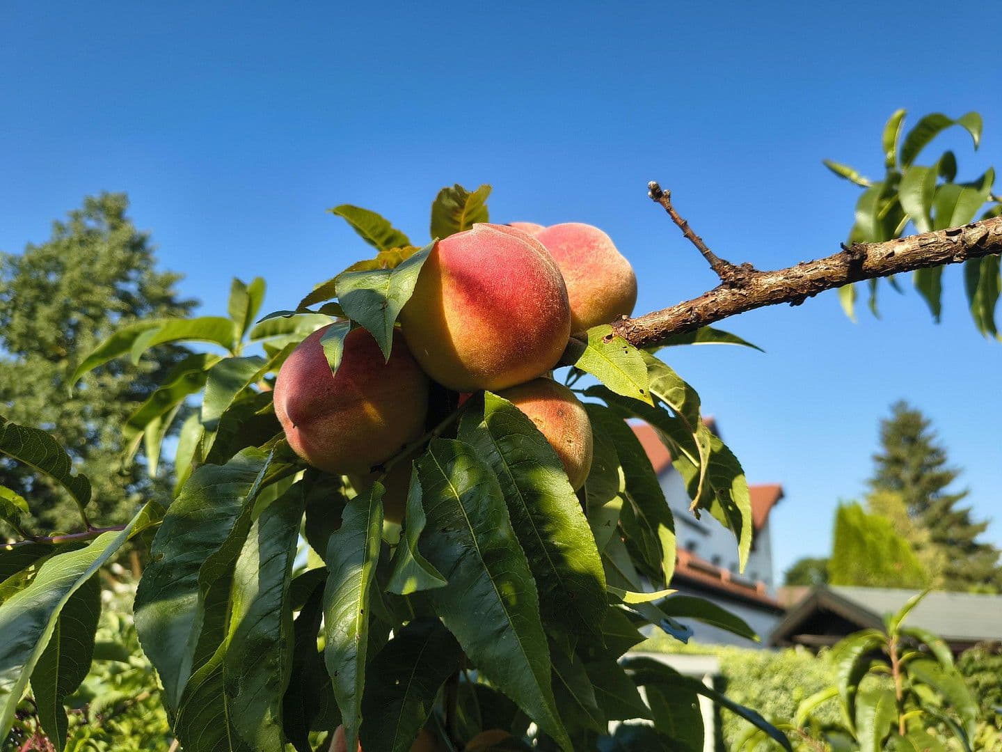 4 bedroom flat for sale, 100 m², Spitzwegstr. 1, Germering, Bavaria 4 bedroom flat for sale, 100 m², Spitzwegstr. 1, Germering, Bavaria