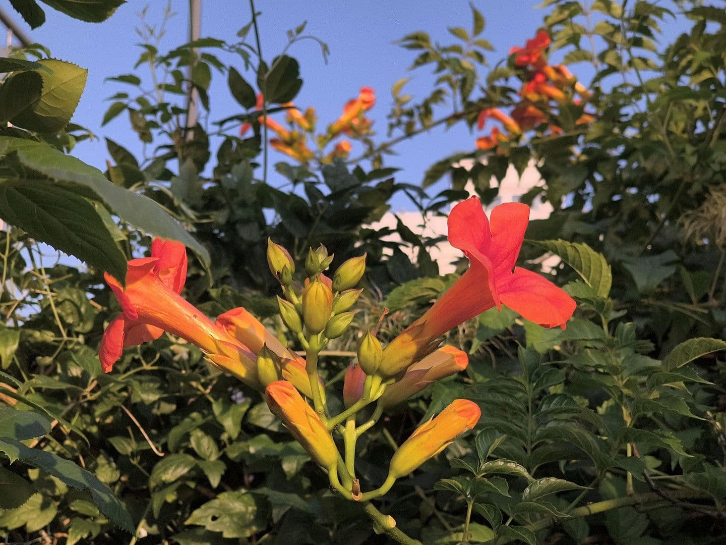 4 bedroom flat for sale, 100 m², Spitzwegstr. 1, Germering, Bavaria 4 bedroom flat for sale, 100 m², Spitzwegstr. 1, Germering, Bavaria