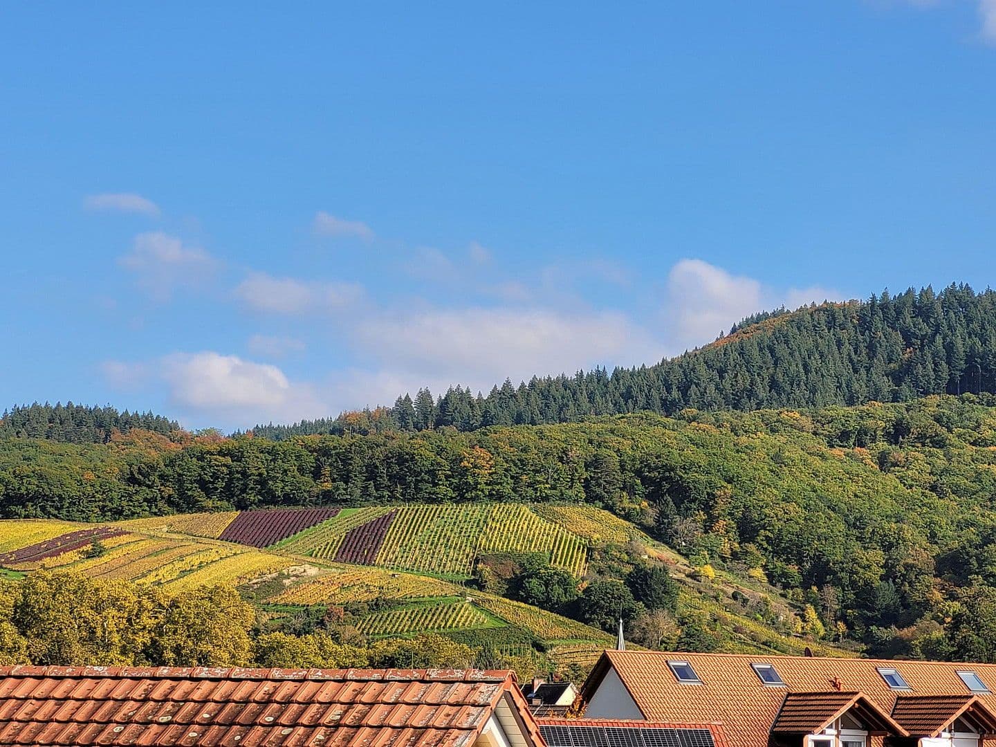 3 bedroom flat to rent, 85 m², Staufen im Breisgau, Baden-Württemberg 3 bedroom flat to rent, 85 m², Staufen im Breisgau, Baden-Württemberg