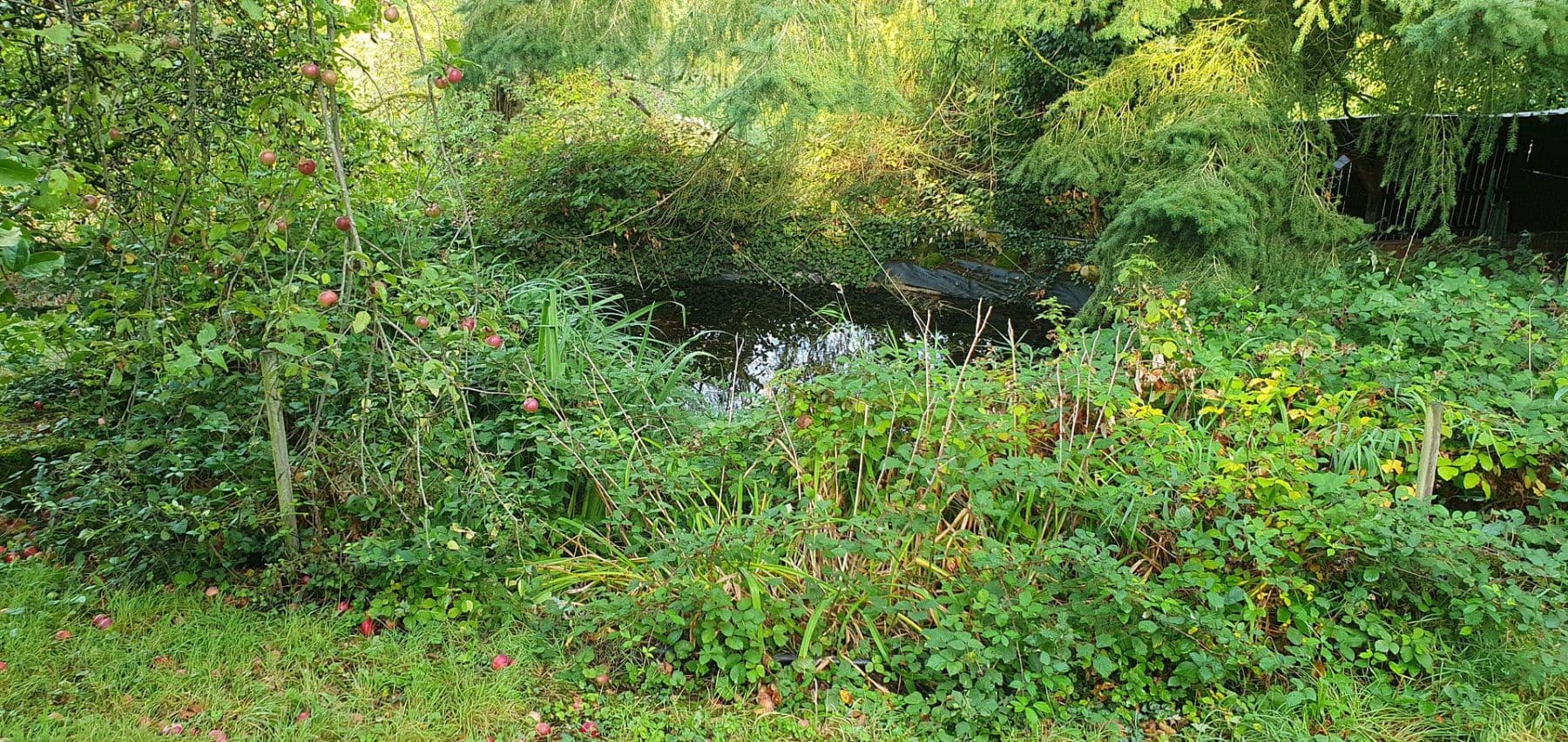 house for sale, 270 m², Dunzweiler, Rhineland-Palatinate house for sale, 270 m², Dunzweiler, Rhineland-Palatinate