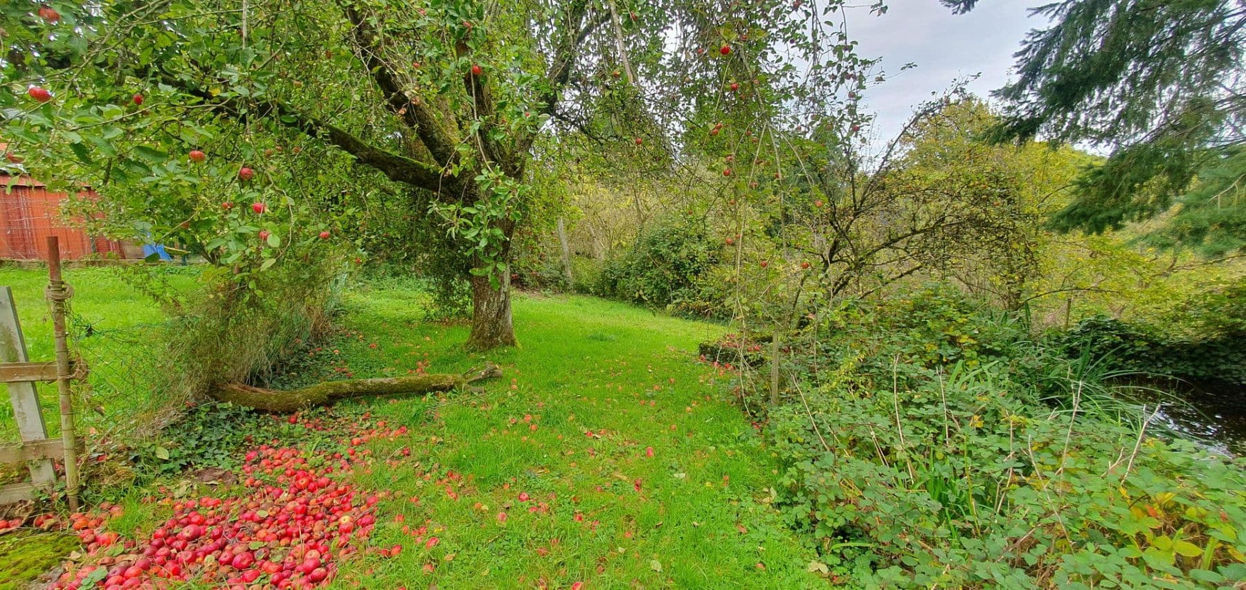 house for sale, 270 m², Dunzweiler, Rhineland-Palatinate house for sale, 270 m², Dunzweiler, Rhineland-Palatinate